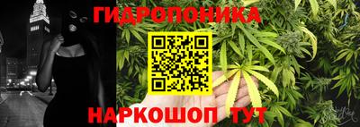 прущие крисы Краснокаменск