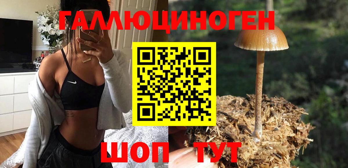 Псилоцибиновые грибы мухоморы Камышин