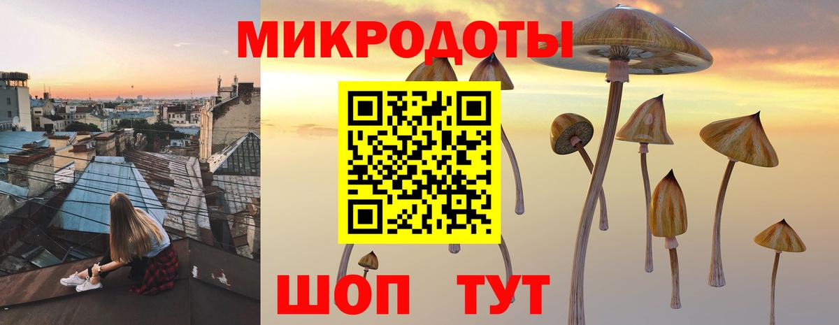 Камышин  Галлюциногенные грибы Cubensis  даркнет сайт  Вход с VPN 
